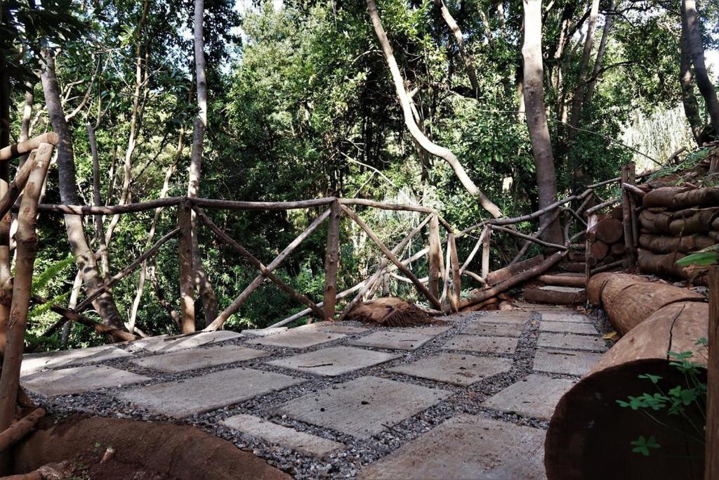 カリェタCasa Maria Quinta 4 "Maria Quinta"アパートメント エクステリア 写真