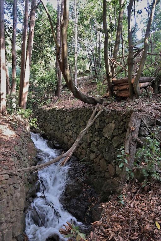 カリェタCasa Maria Quinta 4 "Maria Quinta"アパートメント エクステリア 写真